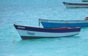 Traditional boats in Santa Maria, Sal