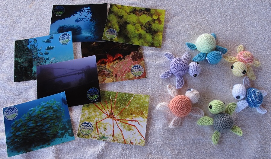 Postcards and hand-made turtle babies